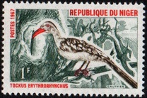 [Birds, Tipi EF]
