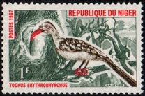 [Birds, Tipi EF]