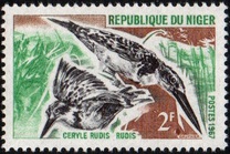 [Birds, Tipi EG]
