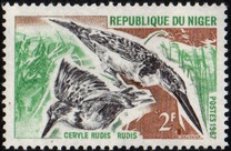 [Birds, Tipi EG]