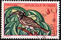 [Birds, type IR]