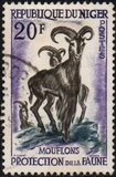 [Animal Protection, type C1]