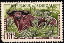[Animals from the Niokolo-Koba National Park, type BV]
