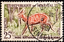 [Animals from the Niokolo-Koba National Park, type BY]