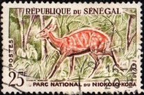 [Animals from the Niokolo-Koba National Park, type BY]