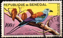 [Birds, ประเภท CB]
