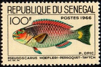 [Fish, տեսակ FI]