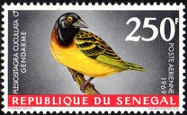 [Airmail - Birds, type HG]