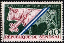 [Campaign for Prevention of Cattle Plague, tegund HJ]