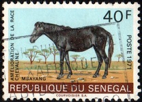 [Horse-breeding Improvement Campaign, Tip JU]