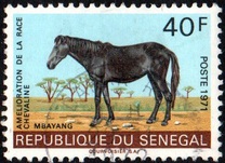 [Horse-breeding Improvement Campaign, Tip JU]