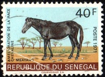 [Horse-breeding Improvement Campaign, Tip JU]