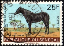[Horse-breeding Improvement Campaign, 유형 KE]