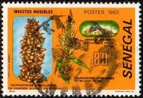 [Harmful Insects, տեսակ VY]