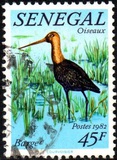 [Birds, Tip WD]