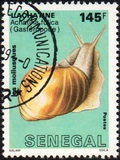 [Molluscs, Tüüp ADK]