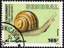 [Molluscs, Tüüp ADL]