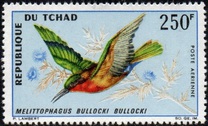 [Airmail - Birds, jenis DJ]