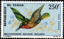 [Airmail - Birds, jenis DJ]