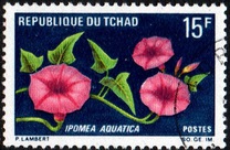 [Flowers, Typ HG]