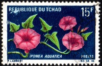 [Flowers, Typ HG]