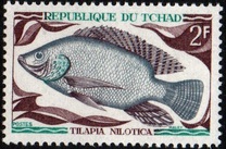 [Peces., tipo HO]