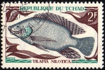 [Peces., tipo HO]