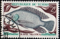 [Peces., tipo HO]