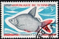 [Peces., tipo HP]