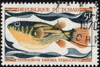 [Peces., tipo HQ]