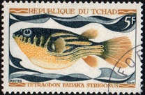 [Peces., tipo HQ]