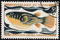 [Peces., tipo HQ]