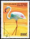 [Birds, Tip BBK]