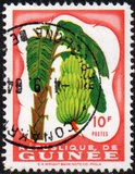[Fruits in Natural Colors, tegund J]