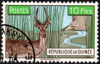 [Bohor Reedbuck, τύπος AC1]