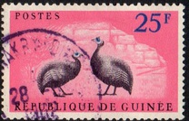 [Birds - Guineafowl, type AE2]