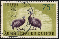 [Birds - Guineafowl, type AE5]