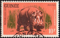 [Wild Game, տեսակ AP]