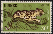 [Wild Game, տեսակ AR]