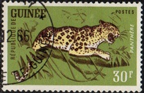 [Wild Game, տեսակ AR]