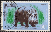 [Wild Game, տեսակ AP1]