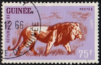 [Wild Game, տեսակ AQ1]