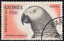 [Birds, тып BA]