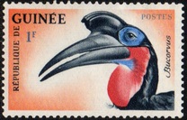 [Birds, тып BB]