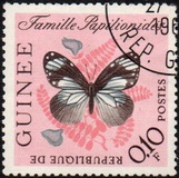 [Butterflies, type BK]