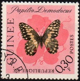 [Butterflies, type BL]