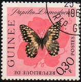 [Butterflies, type BL]