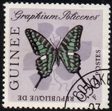 [Butterflies, type BM]