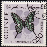 [Butterflies, type BM]