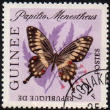 [Butterflies, type BO]